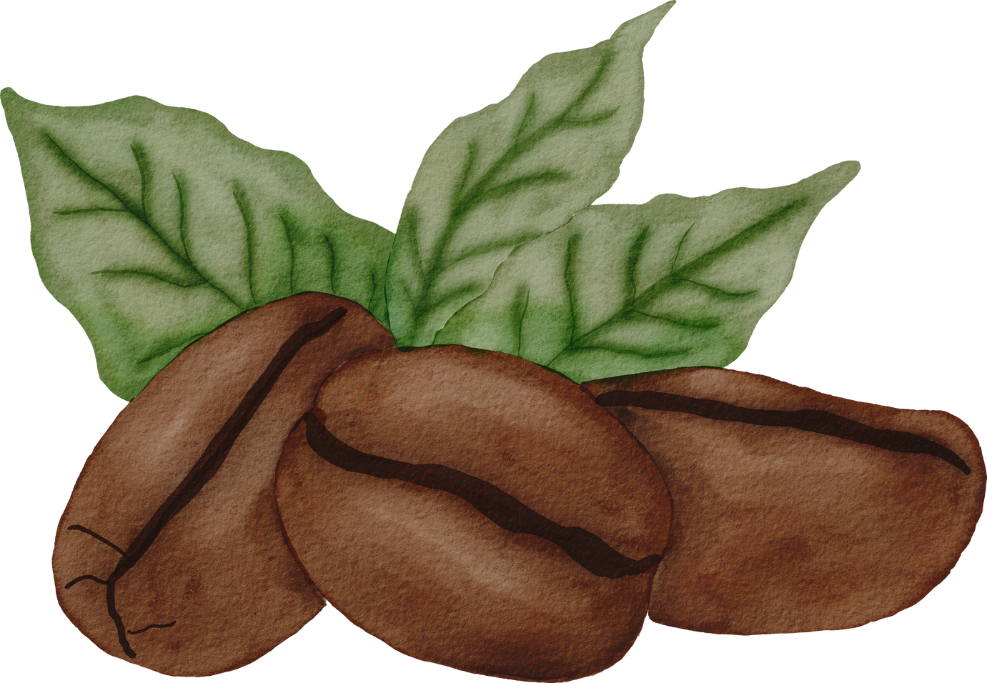 Coffee beans watercolor